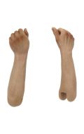 Caucasian male seamless forearm